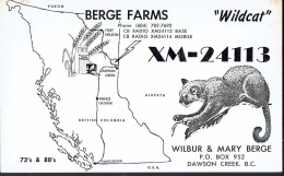 Chat, Wildcat On Old QSL Card From Wilbur & Mary Berge, Dawson Creek, BC, Canada (1968) - CB-Funk