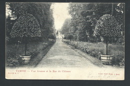 +++ CPA - TAMISE - TEMSE - Une Avenue Et La Rue Du Château - Albert Sugg Série 13 N° 7  // - Temse