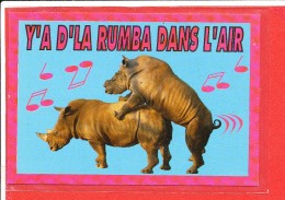 RHINOCEROS Cp  Humour Y A De La Rumba Dans L  'air - Rhinoceros