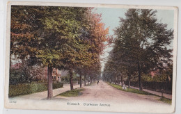 WISBECH - Clarkeson Avenue 1907 - Autres & Non Classés