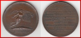 **** MEDAILLE AUX BRAVES DU DEP. DU RHÔNE - PREFET VERNINAC - 25 MESS. AN 8 - CONSULS BONAPARTE CAMBACERES LEBRUN **** - Royaux / De Noblesse