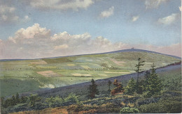 NOD Photochromie AK Zechengrund Bei Oberwiesenthal Gottesgab Unruhe Jägerhof Rehefeld Serie II Nenke Ostermaier - Oberwiesenthal