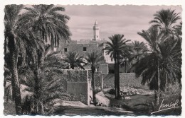 CPSM - Scènes Et Types - Paysage Du Sud Algérien - Scènes & Types