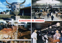 Rabastens. Multivues. La Halle Aux Veaux. - Rabastens De Bigorre