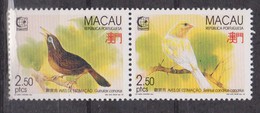 MACAU 1995 UCCELLI BIRDS 2 V. EXPO SINGAPORE MNH - Hojas Bloque