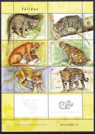 Argentina 2001 Yvert 2253- 58, Fauna, Cats - MNH - Nuevos