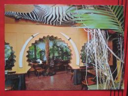Studen (BE) - Cafe Florida: Jardin D´Hiver "Maroc" - Studen