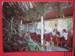 Studen (BE) - Cafe Florida: Im Tropenpflanzen-Cafe - Studen