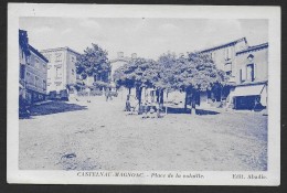 CASTELNAU MAGNOAC - Place De La Volaille - Castelnau Magnoac