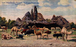 Carl Hagenbeck's Tierpark, Stellingen-Hamburg - Heufressergehege - Stellingen