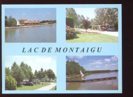 CPM Neuve 82 MONTAIGU De Quercy Le Lac Multi Vues - Montaigu De Quercy