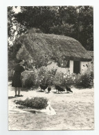 85 - Vendée - Courrine Paysanne Paysans Vendéenne Donnant Manger Au Poules Ed Photo Rabreau St Jean De Monts - Saint Jean De Monts