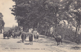 VIROFLAY Un Coin Champetre  (troupeau De Chevres Sur Une Route ) - Viroflay