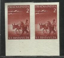 TRIESTE B 1949 POSTA AEREA YUGOSLAVIA SOPRASTAMPATI AIR MAIL JUGOSLAVIA OVERPRINTED LIRE 2 L COPPIA NON DENTELLATA MNH - Luchtpost