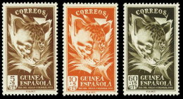 Guinea 306/08 ** Fauna. Genetta. 1951 - Guinée Espagnole