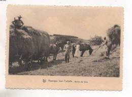 A49 - Nassogne - Inze - Fochalle  Rentrée Des Foins  -  Attelage Ardennais - Nassogne