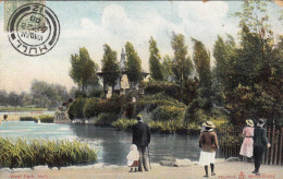 HULL Kingston Upon Hull - Westpark, Gel.1908, Viele Stempel - Hull