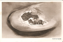 Eiland Griend Ten N.W. Van Harlingen - Uitgave Rembrandt - Autres & Non Classés