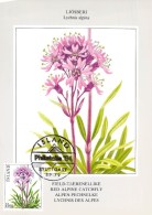 ISLANDE CARTE MAXIMUM NUM YVERT  546  FLEURS  FLORE PROTECTION DE LA NATURE - Cartes-maximum