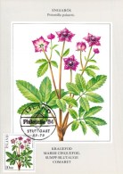 ISLANDE CARTE MAXIMUM NUM YVERT  547  FLEURS  FLORE PROTECTION DE LA NATURE - Tarjetas – Máxima