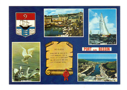 Port En Bessin: Multi Vues, Le Port, Les Goelands, Regates, Vue Generale (16-2584) - Port-en-Bessin-Huppain