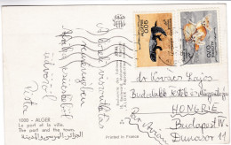 CP1214 Algeria The Port And The Town Alger Nice Stamp Mi 479 North African Spiny-tailed Lizard - Algiers