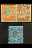 ORANGE RIVER COLONY REVENUES 1903 KEVII 10s Orange & Green, £2 Brown & Violet, Wmk Crown CC, 1905 3s... - Zonder Classificatie