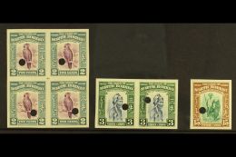 1939 PICTORIALS - IMPERFORATE PROOFS Includes 2c Purple & Greenish Blue Block Of 4, 3c Slate Blue & Green... - Borneo Septentrional (...-1963)