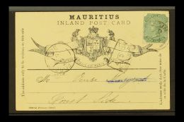 1899 (7 Nov) Formular Card With QV 2c Green Adhesive Tied By Beau Bassin Cds; Alongside "envelope" Carrier Cachet... - Mauritius (...-1967)