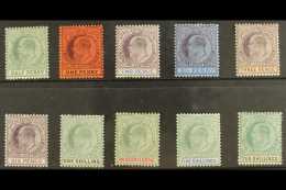 1904-06 Complete MCA Set SG 54/63, Mainly Fresh Mint, 2s 6d With Some Light Tining To Gum. (10 Stamps) For More... - Nigeria (...-1960)