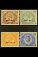 1922-27 2s 50, 4s, 7s 50 And 10s Overprinted SPECIMEN, Fresh Colours And Part Gum. (4) For More Images, Please... - Vide