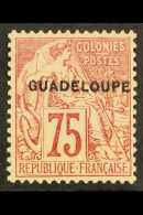 GUADELOUPE 1891 75c Rose-carmine On Rose Overprint (Yvert 25, SG 32), Very Fine Mint, Fresh. For More Images,... - Other & Unclassified