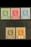 1902-03 Complete Definitive Set, SG 3/7, Fine Mint. (5 Stamps) For More Images, Please Visit... - Caimán (Islas)