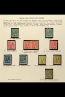 1903-12 KEVII Fresh Mint Range To 20c Deep Olive-green. Comprises 1c (2 Shades), 2c (2 Shades Plus Imperf Pair),... - Altri & Non Classificati