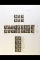 1882-97 ½D SMALL QUEEN. ATTRACTIVE STUDY COLLECTION On Leaves, Inc Block Of 6 Mint, Marginal Imprint Block... - Andere & Zonder Classificatie