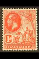 1915 1d Scarlet, SG 172, Never Hinged Mint. For More Images, Please Visit... - Barbades (...-1966)