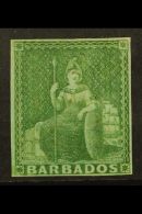 1855 (½d) Yellow- Green On Blued Paper, SG 1, Unused No Gum With 4 Small Neat Margins. For More Images,... - Barbades (...-1966)