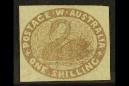 WESTERN AUSTRALIA 1855 1s Grey-brown Imperf, SG 4b, Superb Unused With 4 Good Neat Margins & Fabulous Fresh... - Autres & Non Classés