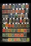 ARGENTINA 1864-1977 ALL DIFFERENT Used Collection Presented On Stock Pages (650+ Stamps) For More Images, Please... - Other & Unclassified