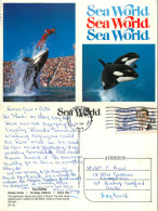 SeaWorld Killer Whales, Orlando, Florida, United States US Postcard Posted 1987 Stamp - Orlando