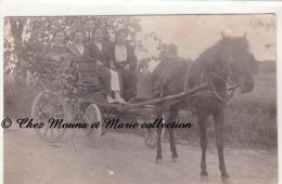 CALECHE - CARRIOLE - CARTE PHOTO - Horses