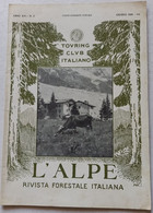 L'ALPE -T.C.I. -RIVISTA FORESTALE ITALIANA  DEL  GIUGNO 1929 (CART 76) - Natura