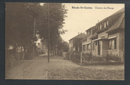 +++ CPA -RHODE SAINT GENESE - St Genesius - Chemin Des Etangs    // - Rhode-St-Genèse - St-Genesius-Rode