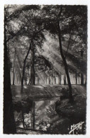 VINCENNES-1947--Le Bois De Vincennes "Mirage D'Automne" Cpsm 14 X 9 N°19 éd Marco---timbres Au Verso ..pas Très Courante - Vincennes