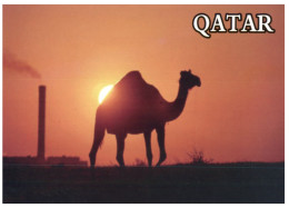 (219) Qatar - Camel & Petrol - Qatar
