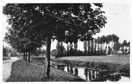 CPSM - MERVILLE (59) - Aspect De La Rivière La Bourre Et De L'entrée Du Village Dans Les Années 45 / 50 - Merville