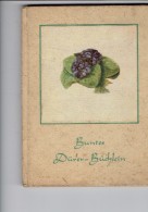 Buntes Dürer-Büchlein 25 Farbige Handzeichnungen Von Albrecht Dürer Chouette Hibou Scarabée Lapin écureuil Arbre Tortue - Painting & Sculpting