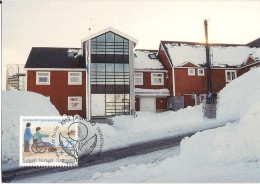 Greenland 1996 Regional Society For The Mentally And Physically Handicapped In Greenland Mi 296, Maximumcard - Used Stamps