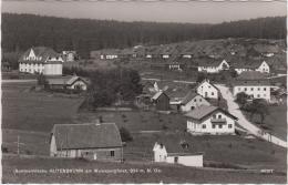 AK - NÖ -Gutenbrunn Am Weinspergforst - 1962 - Zwettl