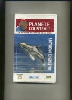 - PLANETE COUSTEAU . BALEINES ET CACHALOTS  . EDITIONS ATLAS 1990 . - Other & Unclassified